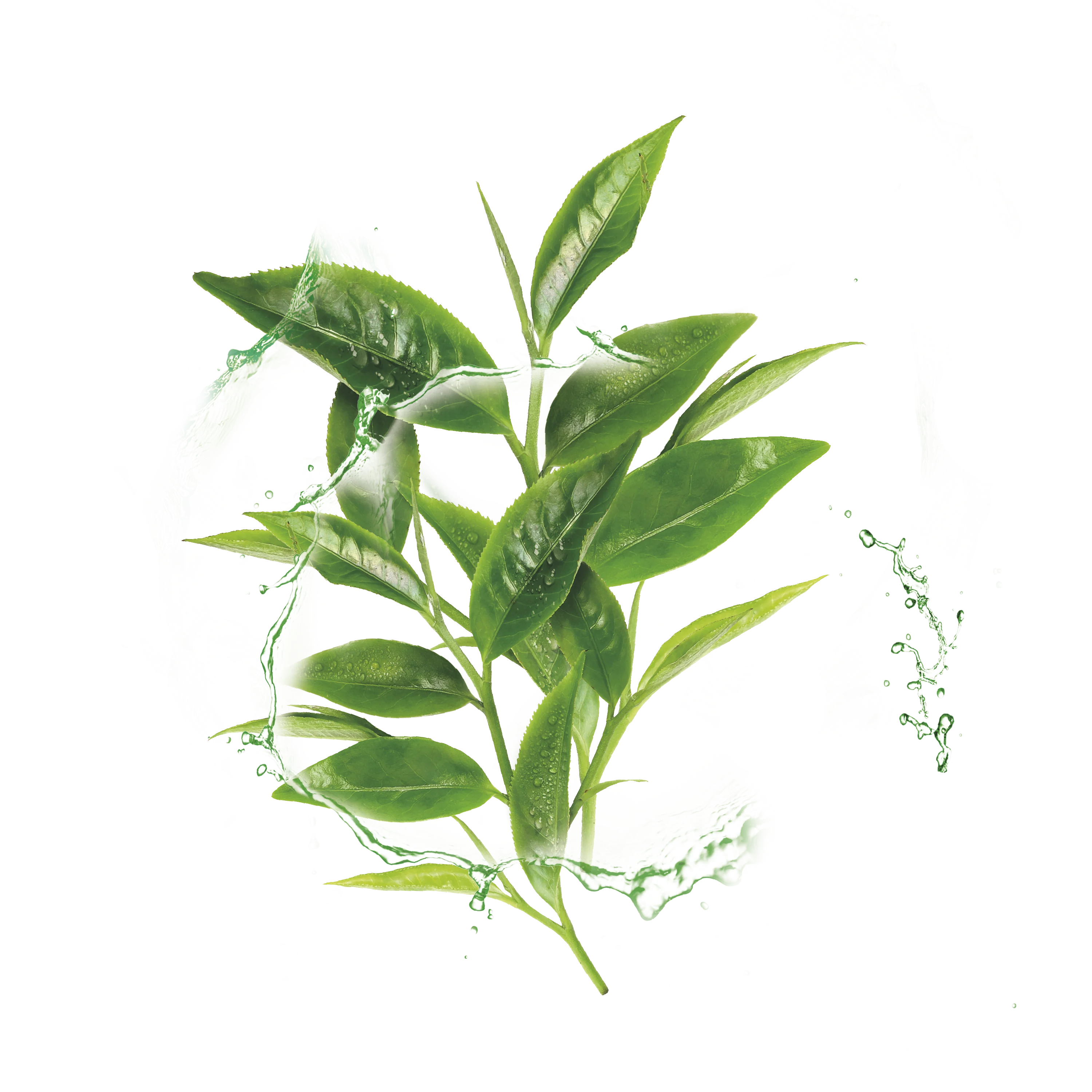 Garnier Hydra Bomb Green Tea Super-Hydrating & Rebalancing Tissue Mask for Normal to Combination Skin - Image 4