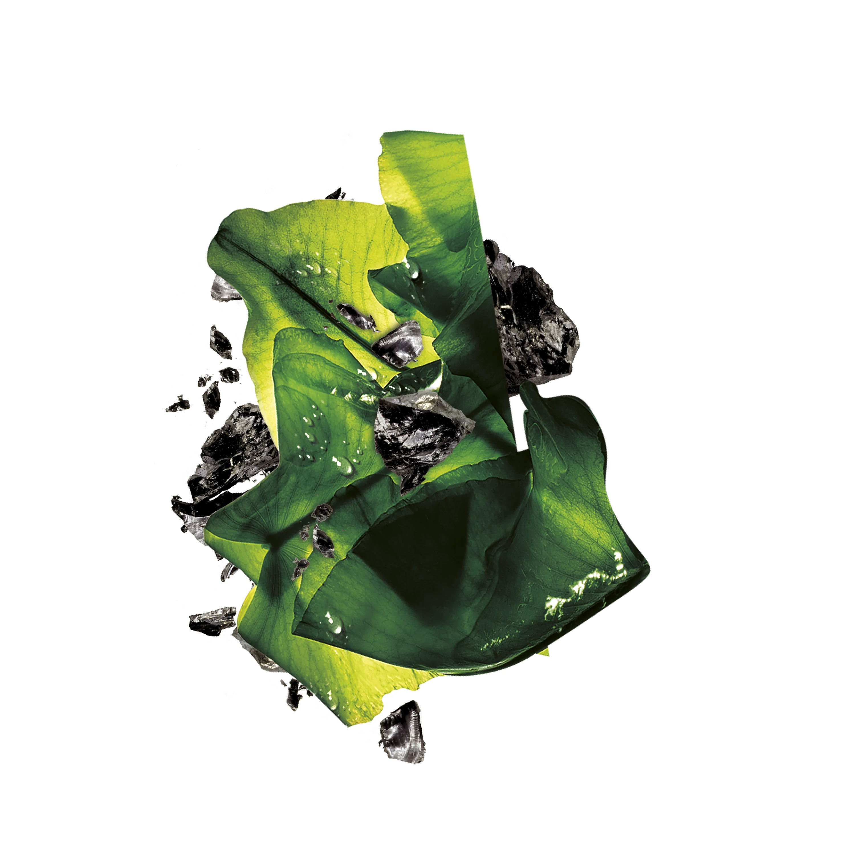 Garnier Charcoal and Algae Hydrating & Purifying Tissue Mask - Image 3