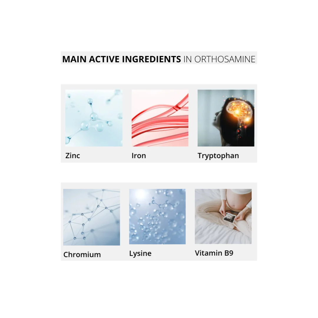 NHCO Multivitamins Orthosamine - Amino acids, Vitamins, Minerals - Image 2
