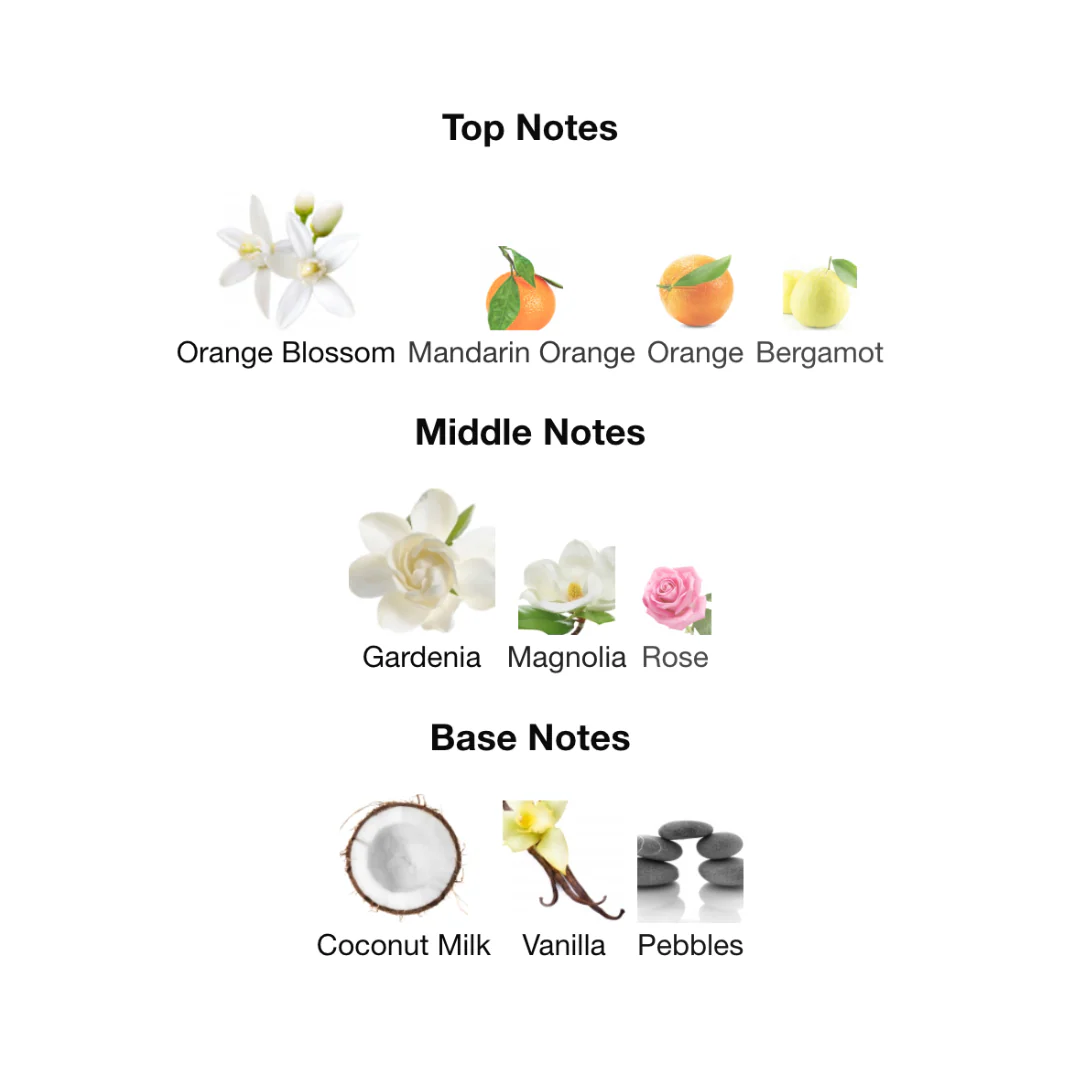 Nuxe Prodigieux Le Parfum for Women 50ml - Image 4