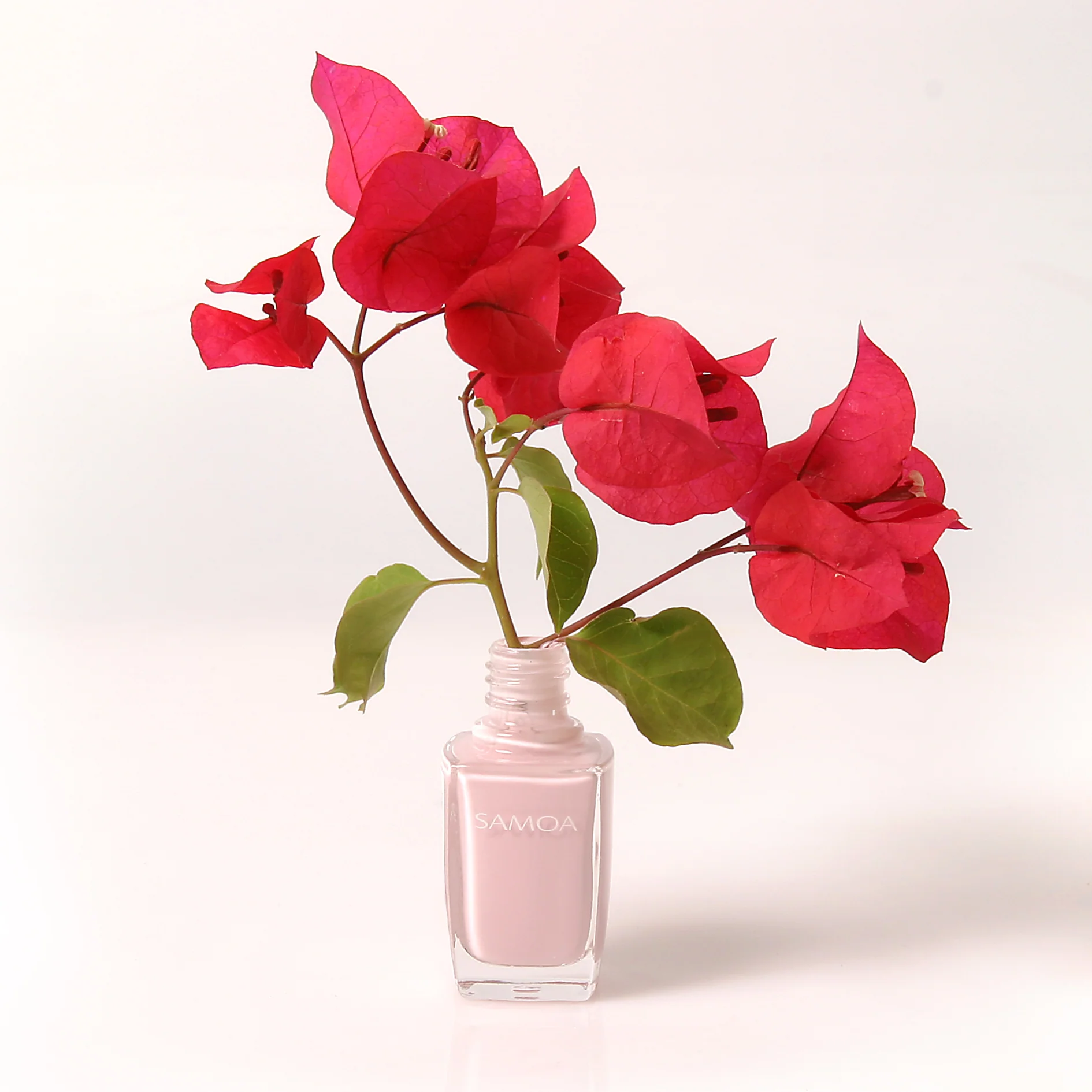 Samoa Amore Mio Aware Not Bare - 6 shades - Image 12