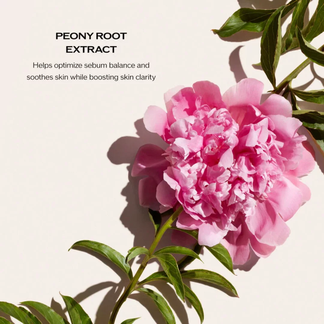 Shiseido Deep Cleansing Foam - Image 6