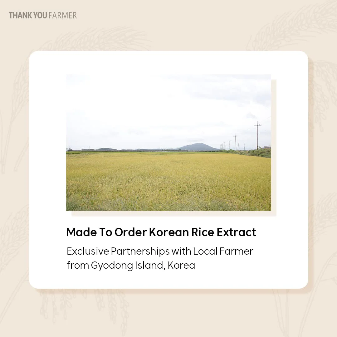 Thank You Farmer Rice Pure Gel and Cream - Image 6